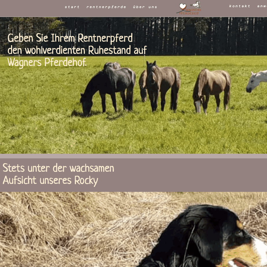 meinedesignerei webdesign bad wurzach